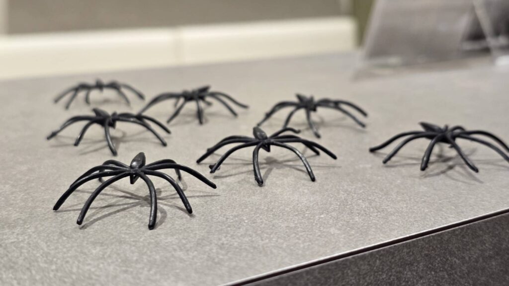 ハロウィンのクモ